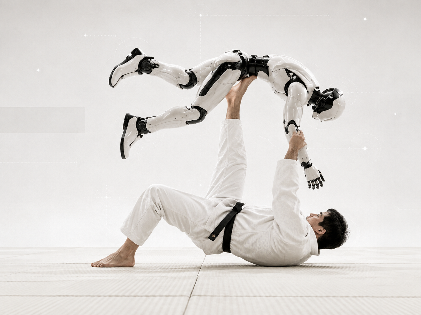 Robot judo